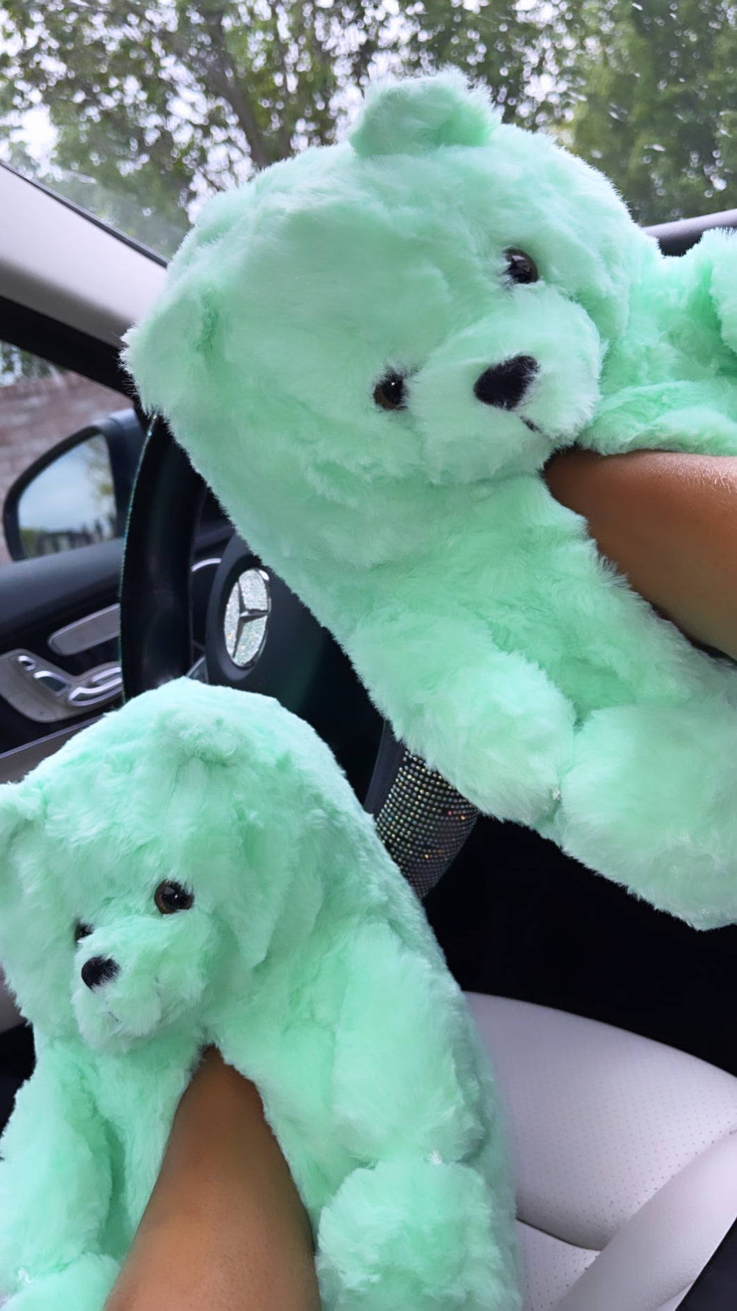 Bear Hug Slippers - Mint Green